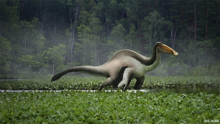 A 3D depiction of a Deinocheirus.