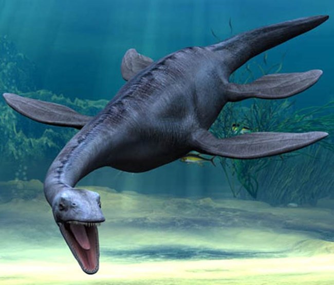 A 3D depiction of a Plesiosaur.